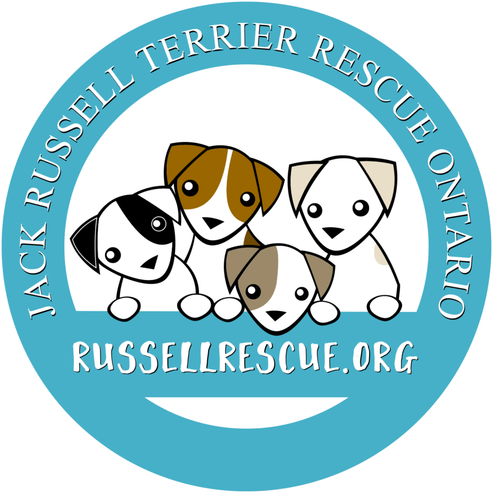 Home - Jack Russell Terrier Rescue Ontario